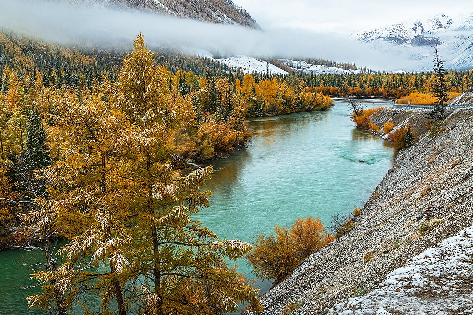 brown leafed trees, mountains, fall, river, landscape HD wallpaper