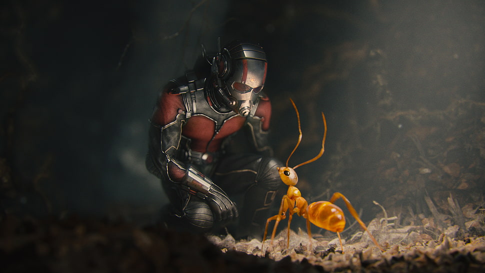 Marvel antman illustration ] HD wallpaper