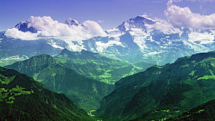 green mountains digital wallpaper
