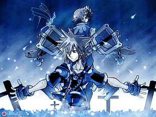 anime character digital wallpaper, anime, Kingdom Hearts
