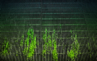 green leafed plants, grid, grass, plants HD wallpaper
