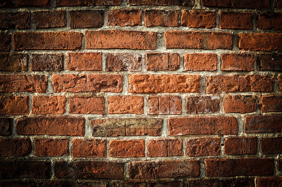 brown concrete brick wall HD wallpaper