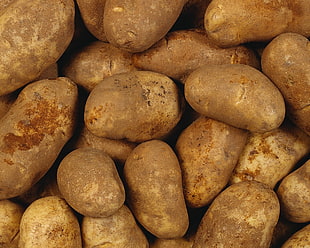 close photo of brown potatoes
