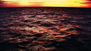 ocean wave, water, sunset