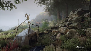 gray rocks and green grass, The Vanishing of Ethan Carter, video games