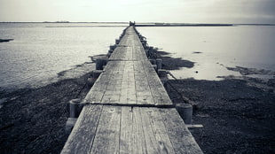 gray wooden dock, photography, bridge, sunset, city