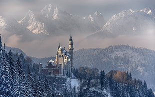 castle beside snow covered mountain, nature, landscape, mountains, forest