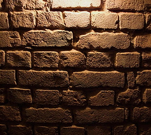 brown brick wall, texture
