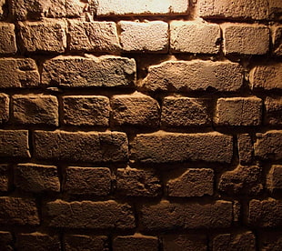brown brick wall, texture