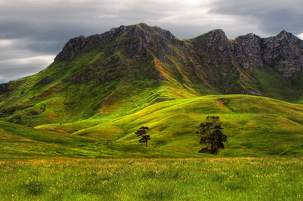 green grass on mountain under blue sky HD wallpaper