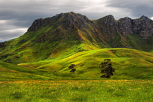 green grass on mountain under blue sky