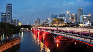 lighted concrete bridge, cityscape, Singapore