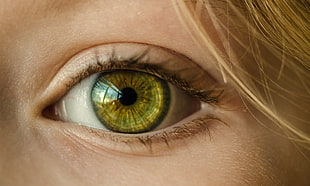 person with green iris
