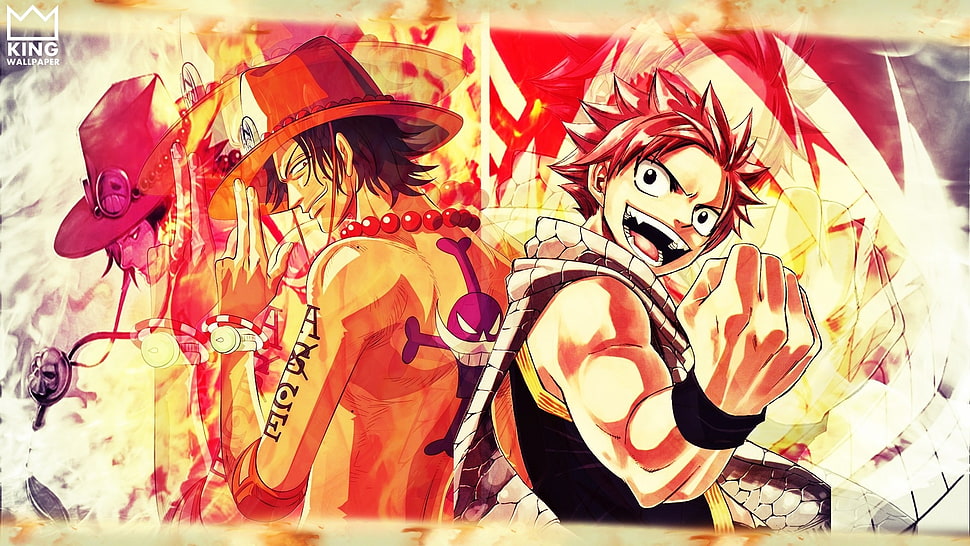Natsu Dragneel and Portgas Ace poster, One Piece, Fairy Tail, Portgas D. Ace, Dragneel Natsu HD wallpaper