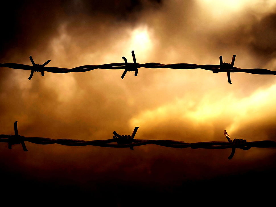 silhoute of gray bulb wire during nighttime HD wallpaper