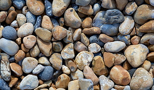 brown and gray rocks, macro, stones, beach, pebbles