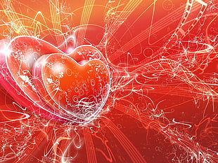 red floral heart illustration HD wallpaper