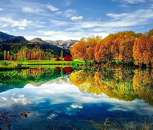 green mountain range in front of body of water under by cirrus clouds HD wallpaper
