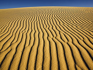photography of sand field