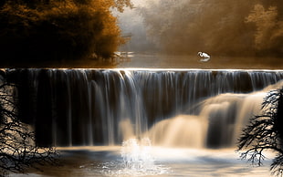 timelapse waterfalls with white bird at daytime