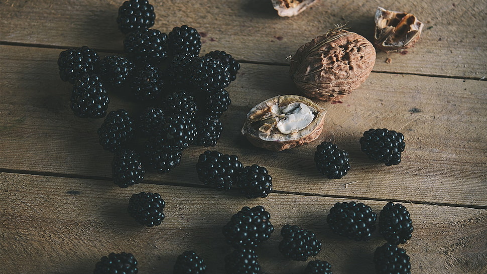 blue berries, walnuts HD wallpaper