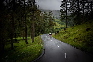 gray concrete road, Switzerland, road, car, trees HD wallpaper