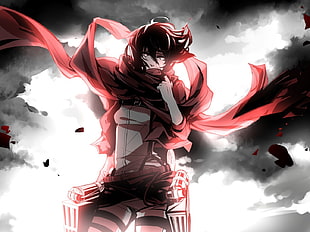 female anime character with scarf wallpaper, Shingeki no Kyojin, Mikasa Ackerman