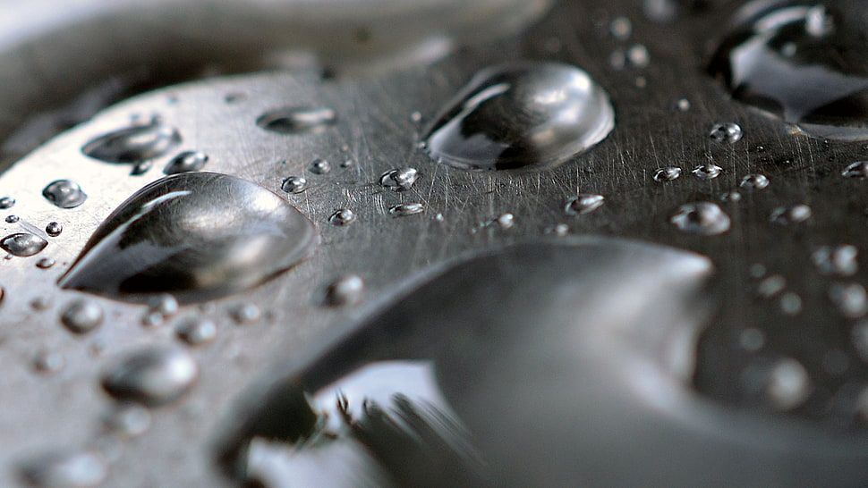 macro photography of water drops HD wallpaper
