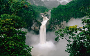 photography of water falls surrounded by green trees