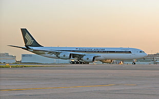 white Singapore airline, aircraft, Airbus, passenger aircraft