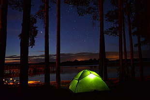silhouette trees near of dome tent HD wallpaper