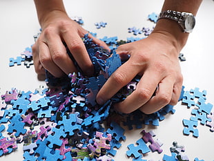 person holding jigsaw puzzle pieces HD wallpaper