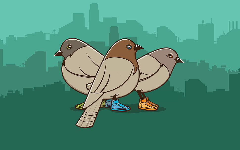 three gray bird illustration, pigeons, birds, shoes, skyline HD wallpaper