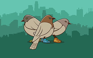 three gray bird illustration, pigeons, birds, shoes, skyline