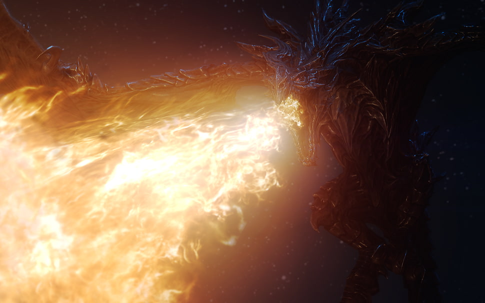 dragon wallpaper, The Elder Scrolls V: Skyrim, fire, dragon HD wallpaper
