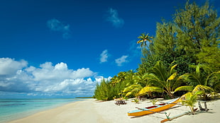 brown and blue board, beach, island, nature, tropical