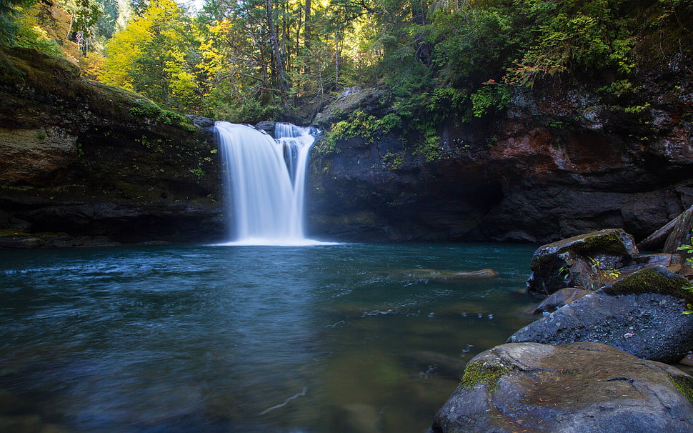 waterfall and green leaf trees, landscape HD wallpaper