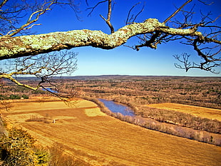 photo of brown hay field with body of water in between