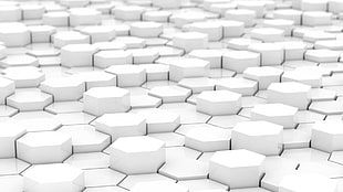 white and black area rug, white, simple, hexagon, abstract