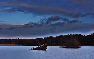 blue lake, lake, nature, landscape, forest HD wallpaper