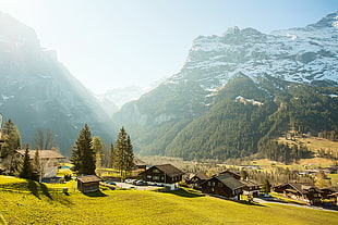 landscape photograph of town near mountains, grindelwald, switzerland HD wallpaper