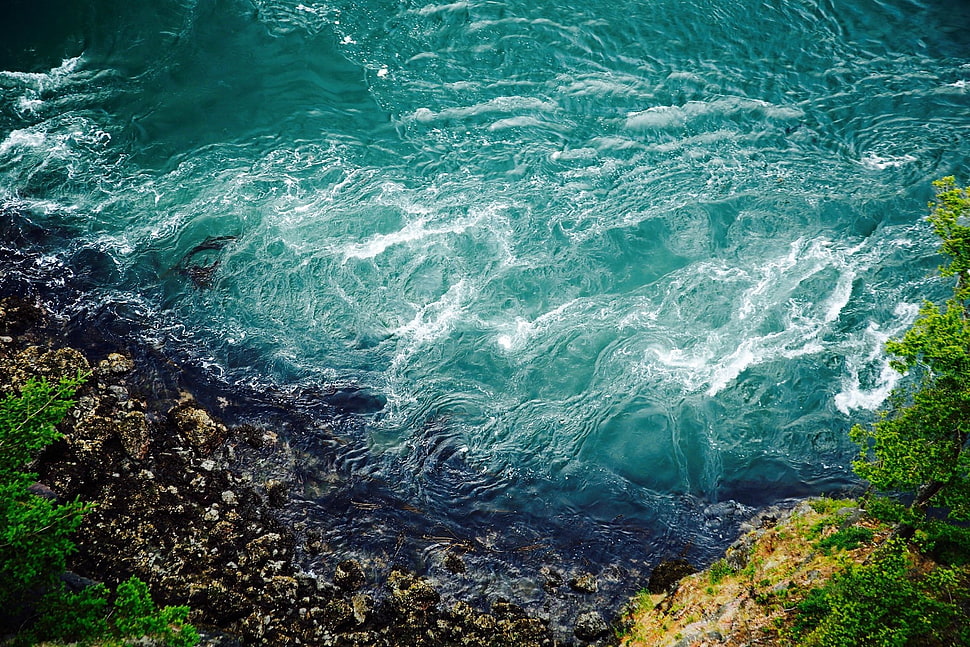 trees and body of water, photography, beach, sea, water HD wallpaper