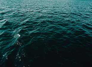body of water, Sea, Waves, Surface