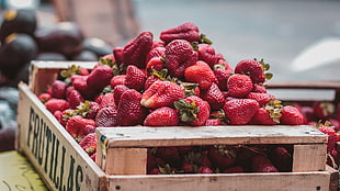 strawberry fruits, Strawberries, Berries, Basket