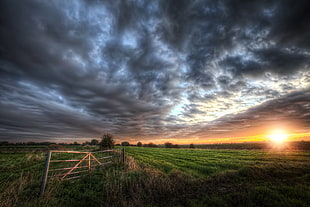 green and brown grass field, clouds, dark, field, sunset HD wallpaper