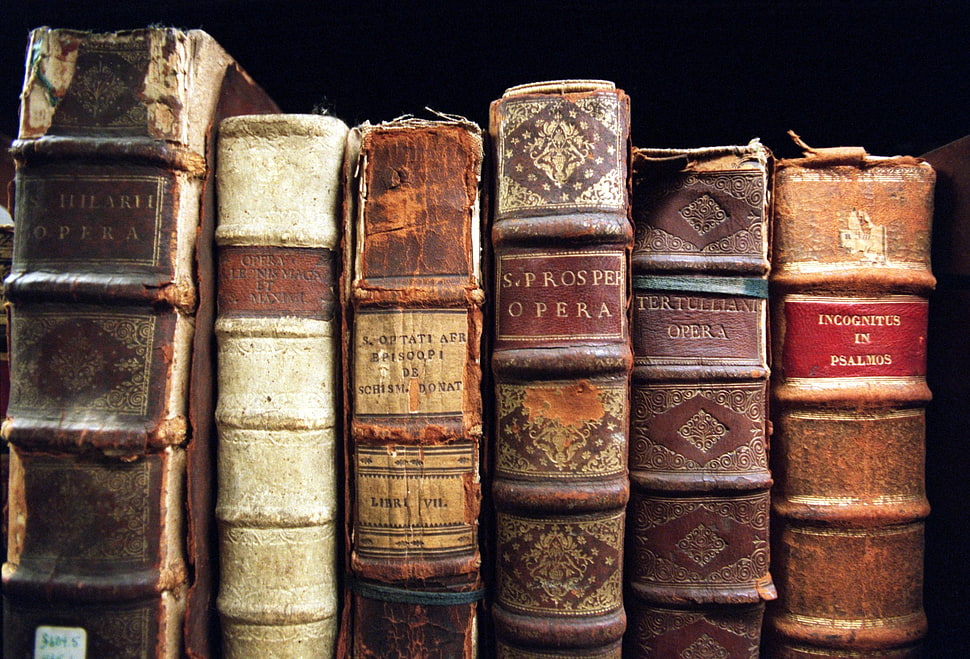 assorted-title book lot, books, photography HD wallpaper