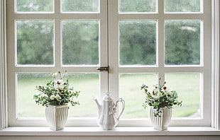 white petaled flower with white ceramic pots; white ceramic teapot near window at daytime