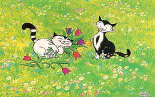 two white and black cats playing on field full of flowers