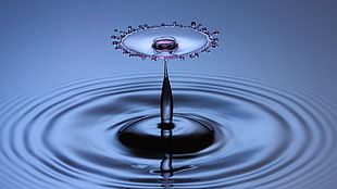 water droplet HD wallpaper