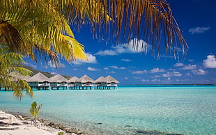 shoreline, nature, beach, Bora Bora, summer HD wallpaper